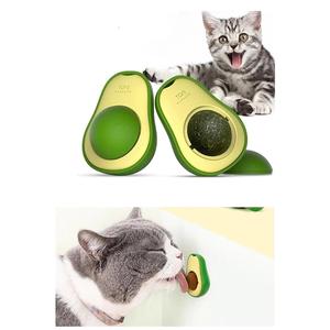 Erba gatta naturale commestibile erba gatta giocare palla giocattolo palla giocattolo gatto Avocado-