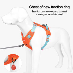 Conjunto de Arnés Personalizado para Perros Pequeños, Arnés Transpirable de Malla Acolchada, Correa y Collar de Lujo, Arnés Antitirones Personalizado - Product Image 3