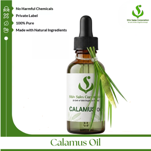 Fournisseur et exportateur d'huile de calamus en vrac, proposant des solutions d'emballage d'huiles essentielles de haute qualité pour la vente en gros mondiale de cosmétiques - Product Image 1