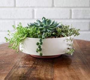 Maceta decorativa de plástico para interiores con drenaje - Product Image 2