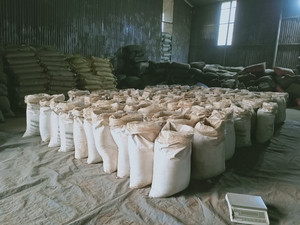 Haute qualité Cassia cannelle poudre séchée huile de graines d'herbes préservée-pour Import Export prix de gros-contacter Mme Henry - Product Image 6