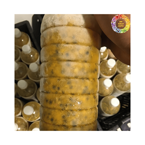 Prix usine pour pulpe congelée purée de fruits de la passion pulpe contient graines/bouteilles en plastique emballage/origine vietnamienne - Product Image 3