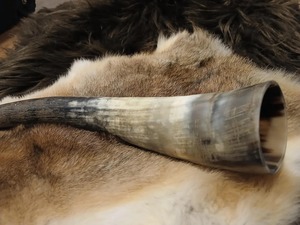 Copa de cerveza vikinga hecha a mano con cuerno de buey natural y borde de latón premium a precio económico - Product Image 3