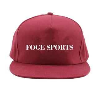 5 panneaux Baseball chapeau unisexe broderie Logo Hip Hop en plein air basket-ball sport chapeaux OEM mode coton patchs ajusté Snapback chapeau - Product Image 6