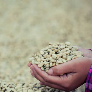 Wholesale Vietnam Organic Arabica Green Coffee <b>Beans</b> Size 16 AA+ Grade USDA Certified TNFOOD Brand Bags Packaging 24-Month Shelf - Product Image 1