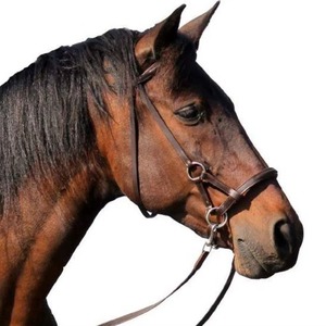 Brida de Polo para Montar a Caballo, Cuero Genuino, Ajustable, Acolchado Suave, Hebillas Reforzadas, Tamaño y Color Personalizables para Mayor Comodidad - Product Image 2
