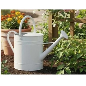 Attractive Design Antique Finished Hand Engraved Decorative <b>Garden</b> Used Home <b>Garden</b> Use Unique Style Classic Iron Water Can - Product Image 6