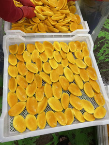 Trozos de Mango Congelados IQF Naturales - Sin Azúcar Añadido - Opción Saludable - Product Image 2