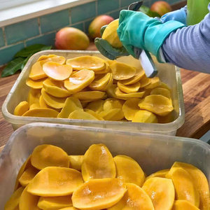 Bandes de mangue naturellement sucrées, séchées à froid, moelleuses et croquantes, collation de fruits tropicaux sans sucre ajouté, 0,5 kg, vente en gros, Vietnam TECHMIFOOD - Product Image 5