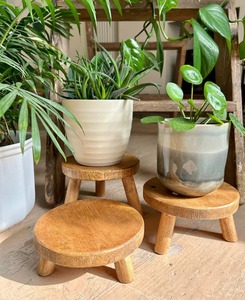 Support de plante d'intérieur/extérieur en bois massif fait main de luxe, présentoir décoratif haut de gamme pour plantes - Product Image 6