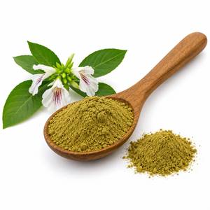 Extracto de Hoja de Adhatoda Vasica en Polvo, Extracto Botánico Premium para Aplicaciones de Suplementos Herbales, Suministro del Fabricante, OEM - Product Image 3