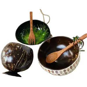 热销多种设计多色椰壳碗/漆器碗/巴西莓碗可可碗食品