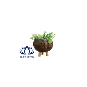 Pot en Coque de Noix de Coco Naturelle Biologique de Haute Qualité |   Pot de fleurs durable pour accessoires de jardinage à domicile - Product Image 1