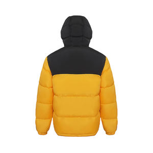 Veste d'hiver matelassée personnalisable pour homme North Face avec capuche, manteau d'hiver en duvet avec motif de lettres de conception OEM - Product Image 1