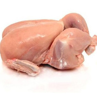 Pollo Entero Congelado Halal, Sin Cafeína, Sin Grasas Trans, Empaque a Granel, Proceso IQF, 25 kg, Alta Calidad, 1 Año de Vida Útil