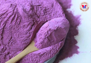 BEST SELLER Sustainable Dehydrated Purple Sweet Potato Powder Dried Yam Flour Sweet Aroma For Plant Based Milk Tea 25kg - Product Image 5