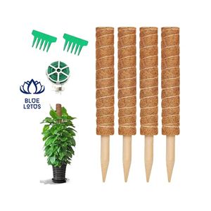 BEST SELLING Blue Lotus Organic Coir Moss Pole |   Poteau de support en fibre de coco naturelle écologique, modèle Kristen Nguyen, en vrac - Product Image 1