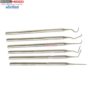 ชุดหัววัดไมโครสเตนเลสสตีลความแม่นยำสูง 6 ชิ้น แบบคอมโบ ปลายตรง ปลายเดี่ยว ปลายสั้น ปลายคู่ ปลายยาว ปลายคู่สามชั้น และปลายแบบตะขอ ขนาด 5.5 นิ้ว - Product Image 2