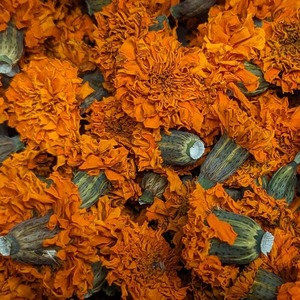 Fleurs de Calendula déshydratées (Marigold) - Product Image 3