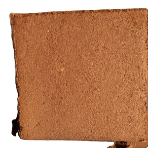 ผลิตภัณฑ์ทางการเกษตร COCO peat/pith ธรรมชาติและดั้งเดิม - Product Image 1