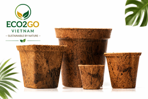 Wholesale Coconut Coir <b>Pot</b> Eco Friendly Seed Starter <b>Pot</b> OEM Biodegradable Coconut Coir <b>Pots</b> Manufacturer from Vietnam - Product Image 5
