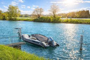 C-a-p-e-l-l-i T-e-m-p-e-s-t 65 B-R - Product Image 2