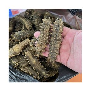 SUMINISTRO AL POR MAYOR DE ATÚN BLANCO SECO, MARISCOS CON ALTO CONTENIDO DE PROTEÍNAS - Product Image 5