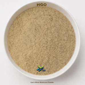 Hgo ผงเห็ดแผงคอสิงโตธรรมชาติบริสุทธิ์ (เกรดอาหาร) ผงเชื้อรา (ผลไม้หรือผงผัก) - Product Image 1