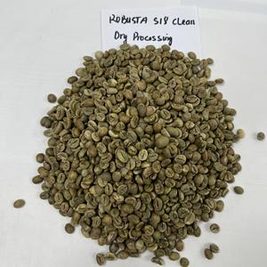Grains de café Robusta de qualité fiable pour les importateurs B2B, service OEM ODM - Product Image 1