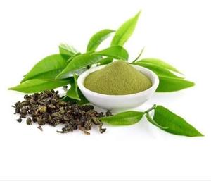 Extrait de thé vert, polyphénols, extrait instantané de plantes vertes, feuilles de thé vert 100% - Product Image 2