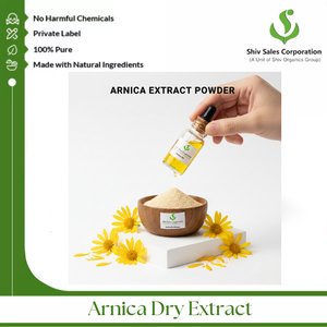 Poudre d'extrait d'arnica de qualité supérieure pour la production de produits de beauté, de soins de la peau et de soins personnels - Product Image 5