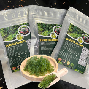 SUPER ALIMENTO DEL MAR, Uvas de Mar Deshidratadas de Alta Calidad/LATO/ARAROSEP/UMIBUDO, Algas Marinas TAKIMEX GLOBAL VIETNAM, EL MÁS VENDIDO, EN BOLSA - Product Image 1