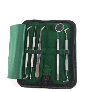 Dental Surgical Instruments Set 5pcs Stainless Steel Tweezers Mirror <b>Probe</b> Orthodontic Tools Kit Manual Precision Instrument - Product Image 3