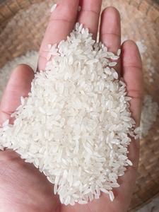 ข้าวคาลโรสเมล็ดกลางจากเวียดนาม ราคาแข่งขันได้สำหรับตลาดตะวันออกกลาง - Product Image 6