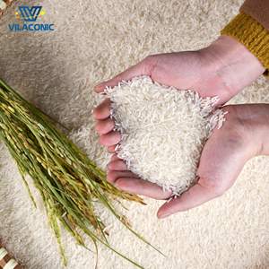 Arroz blanco orgánico de Vietnam, arroz saludable de textura dura de proveedor superior, uso de cocina de alta calidad, arroz roto - Product Image 2