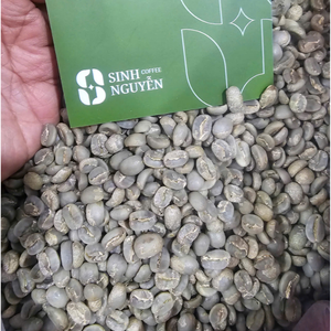 เมล็ดกาแฟอาราบิก้าพรีเมียมเกรดซินห์ นกุ้ย 60 กก. บรรจุถุงใหญ่ ล้างสะอาด ไม่ผ่านกระบวนการคั่ว ค่าคะแนนสูง สำหรับร้านค้าส่งกาแฟคั่วพิเศษ - Product Image 6
