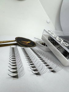 Extensions de cils en grappe professionnelles de qualité supérieure 6D 0.07 13mm Courbure D Fibre synthétique PBT Longueurs mixtes Naturelles Douces Plus Noires Faciles à poser - Product Image 2