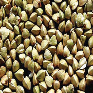 Sarrasin biologique / Sarrasin torréfié sucré / Coques de sarrasin brutes en gros - Product Image 1