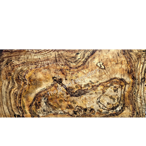 Indian Autumn Translucent Ultra-Thin Flexible Natural Stone <b>Veneer</b> <b>Sheet</b> TSF India Exterior Hotel Applications Split Surface - Product Image 1