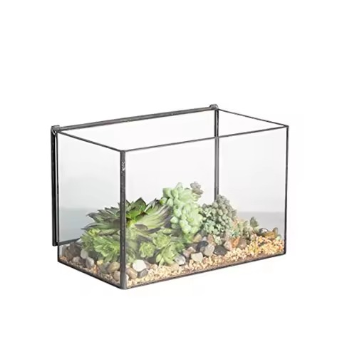 ตามที่แสดง