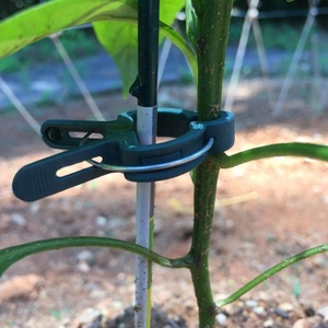 Juego de clips para plantas de jardín / clip para jardín / clip de plástico para plantas de tomate al por mayor - Product Image 4
