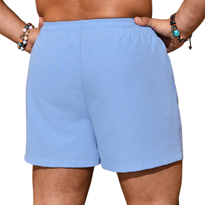 <b>Mens</b> Plain Swim Shorts Quick Dry Lightweight Beach Shorts Elastic Waist Casual Summer Sports Swimming <b>Trunks</b> With Drawstring - Product Image 2