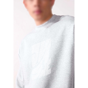 Men's Gray Crew Neck Pullover Sweatshirt 100% Cotton French Terry Regular Fit Silk Screen Printed Logo Front Casual Autumn Wear - Product Image 5