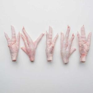 Patas de Pollo Congeladas Halal de la Mejor Calidad, Corte de Alta Calidad, Precio Competitivo, Se Ofrece Muestra Gratuita para el Mercado de Pollo - Product Image 4
