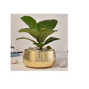 Jardinière en métal finition antique avec logo personnalisé, grande taille, décoration d'intérieur, articles de jardin, jardinières pour fleurs d'extérieur - Product Image 3