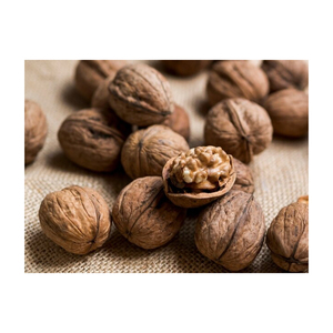 Noix en gros, approvisionnement en vrac, prix bas, fruits secs riches en nutriments - Product Image 6