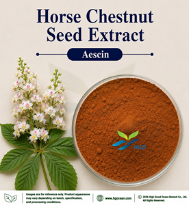 Extrait de graines de marron d'Inde (Aesculus hippocastanum) Aescine 20% CAS 6805-41-0 Standardisé, Fourniture directe usine HGO - Product Image 2