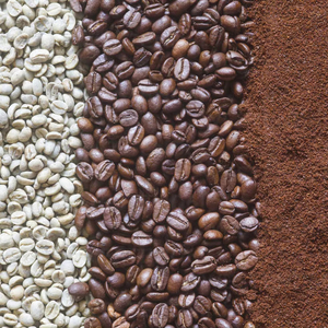 Café Arábica Orgánico de Alta Calidad, Tostado y Molido, de Vietnam, Certificado por el USDA, Proveedor de Exportación Directa, MOQ Flexible - Product Image 1