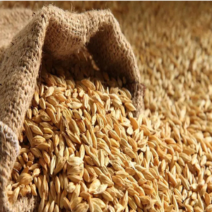 <b>Barley</b> Grains Premium <b>Barley</b> /malt <b>barley</b> - Product Image 1