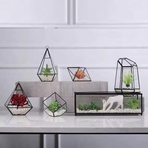 Premium Accent Metal Terrarium Glass Plant Holder Elegant Indoor Garden Display Box Home Decor - Product Image 2